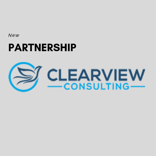 clearview consulting